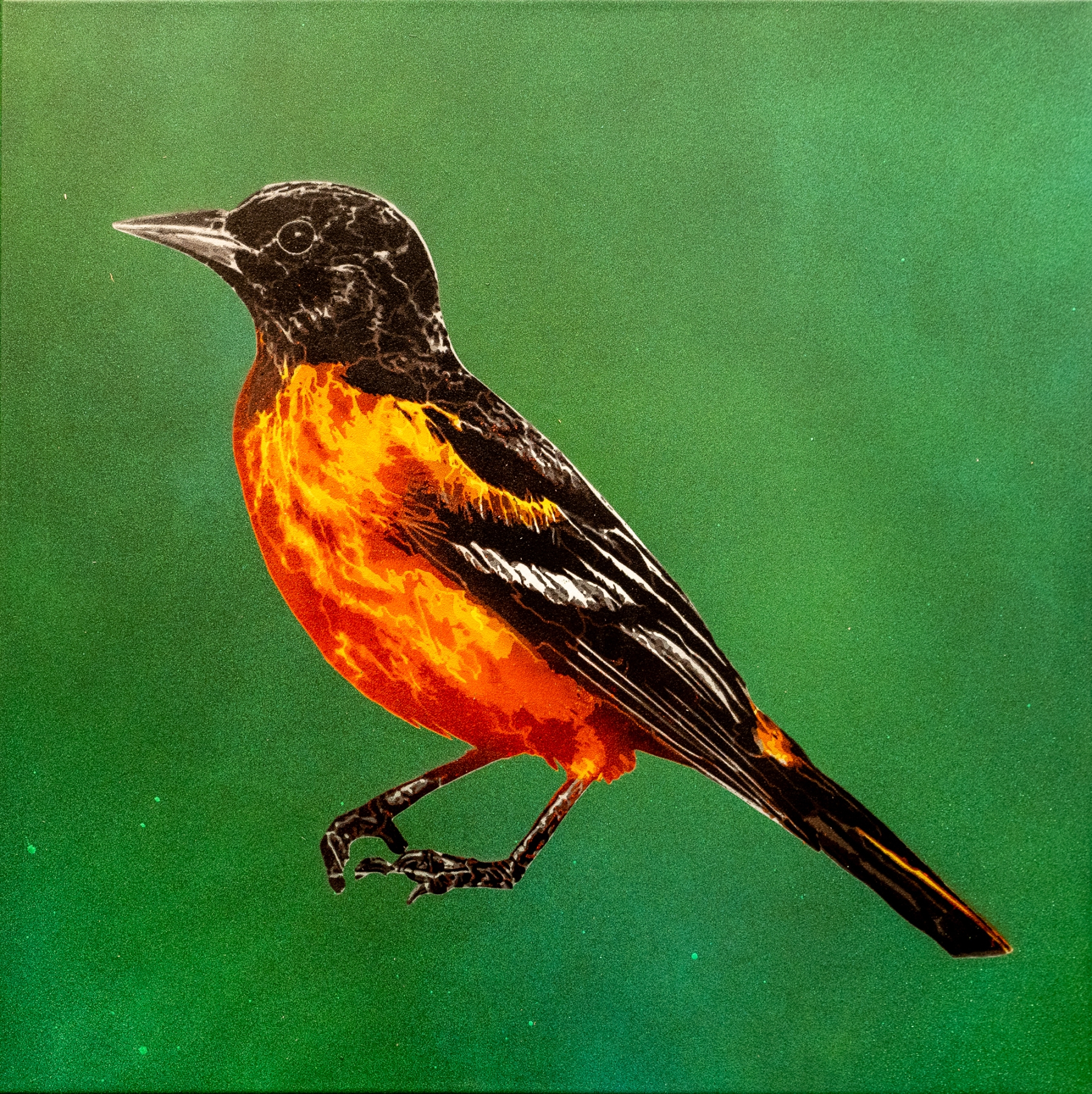 Baltimore Oriole, 2022
Painting on Canvas
30 x 30 in. (76.2 x 76.2 cm)
Signed and dated on verso
&amp;nbsp;