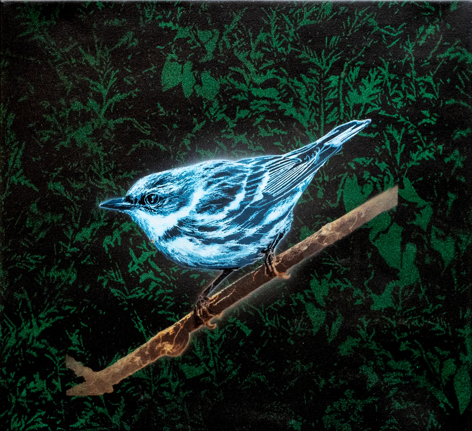 Cerulean Warbler, 2022
Painting on Canvas
22 x 20 in. (55.9 x 50.8 cm)
Signed and dated on verso